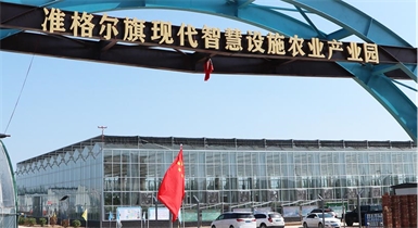 準格爾旗現(xiàn)代智慧設施農業(yè)產業(yè)園